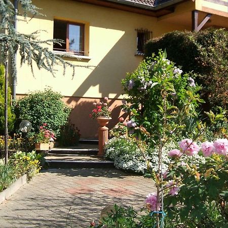 Bed and Breakfast Les Lilas Ammerschwihr Exterior foto